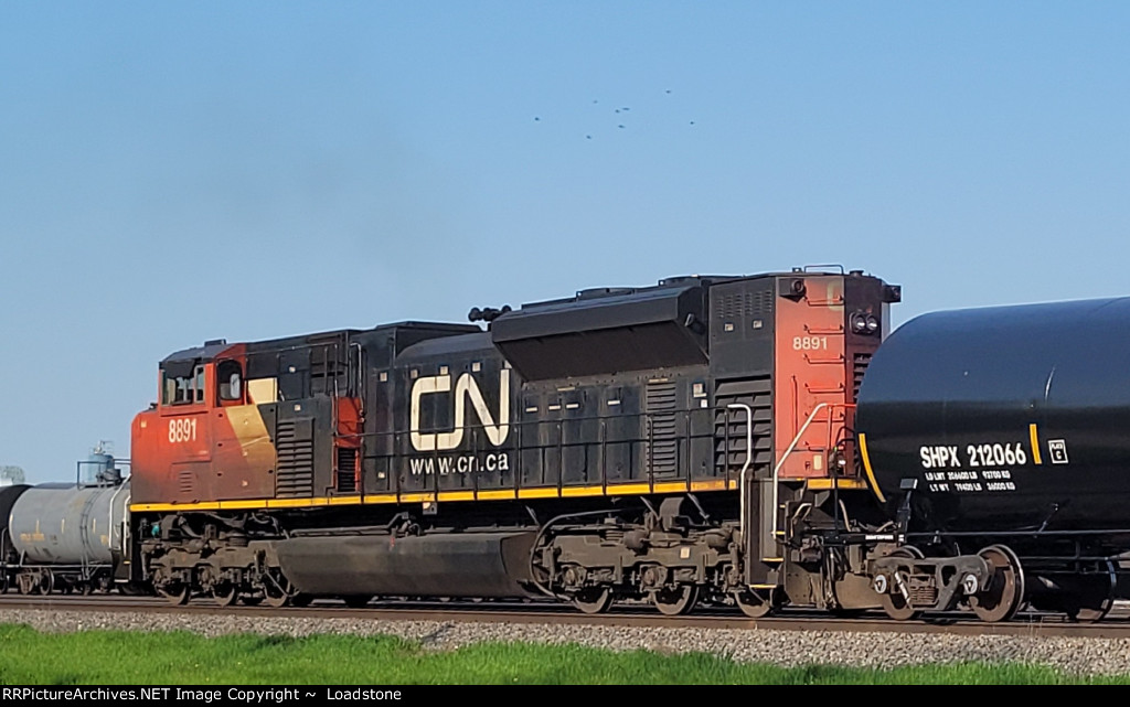 CN 8891